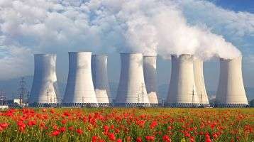 Nuclear power plan cooling towers among a sea of red flowers