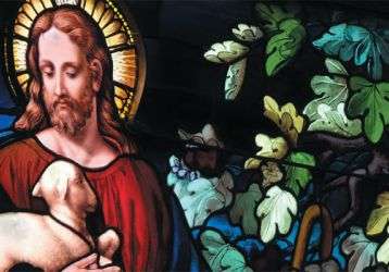 Stained glass window of Jesus holding a young lamb