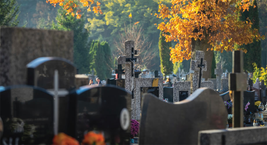 Crowded cemetery markers under autumn trees 