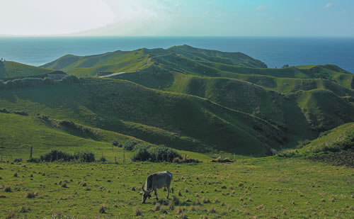 scenic picture of Fijian countryside