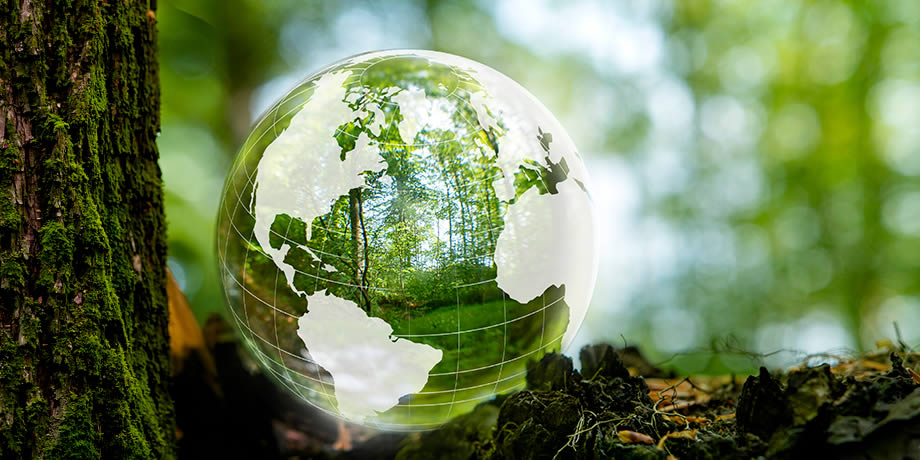 A glass globe of the earth in a lush green forest