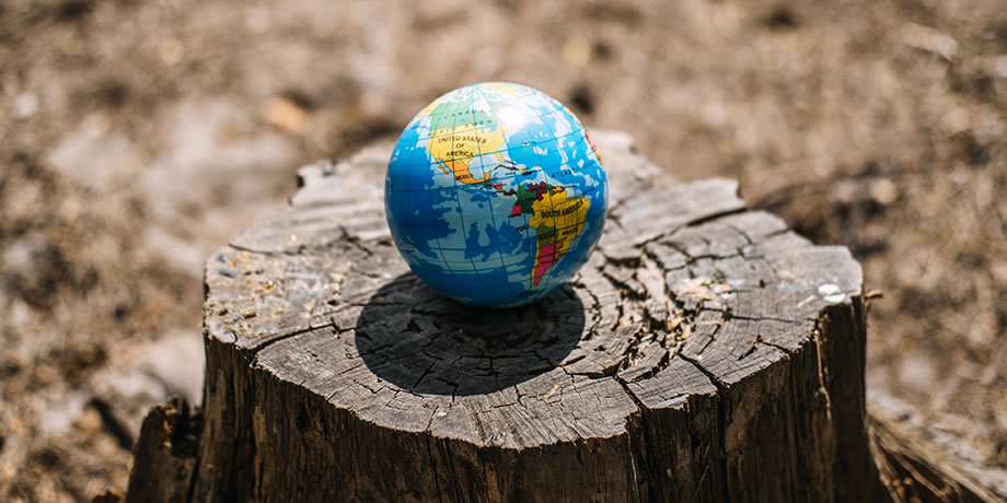 A globe showing the western hemisphere setting on top of a tree stump