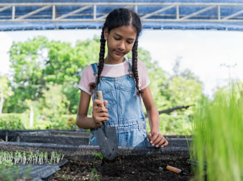 A young girl gardening