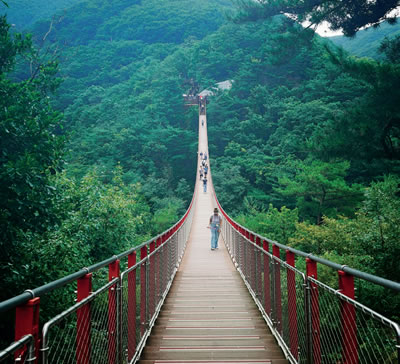 Walking bridge