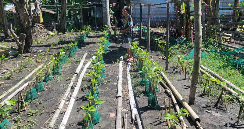 Ate Hanelita plants vegetables and sells them to her neighbors