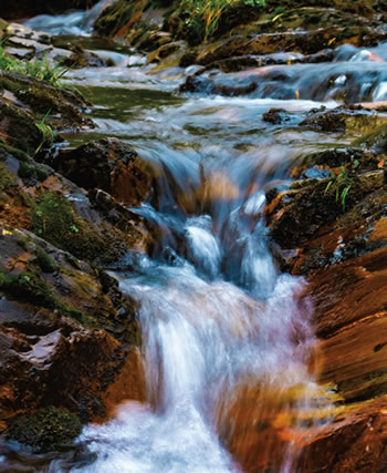 Brook running over rocky spillway.