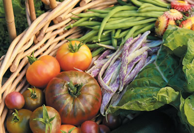 A basket of vegetables