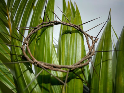 Crown of thorns on top of palms