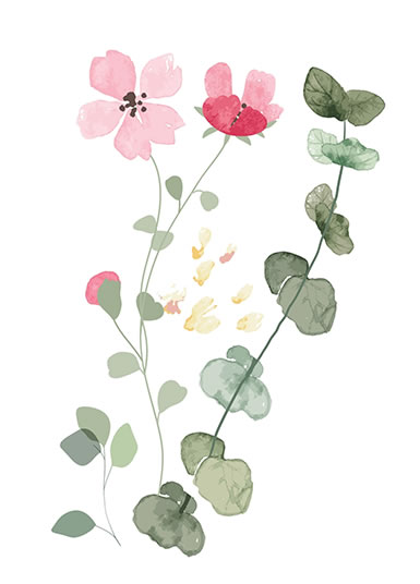 Spring Flowers