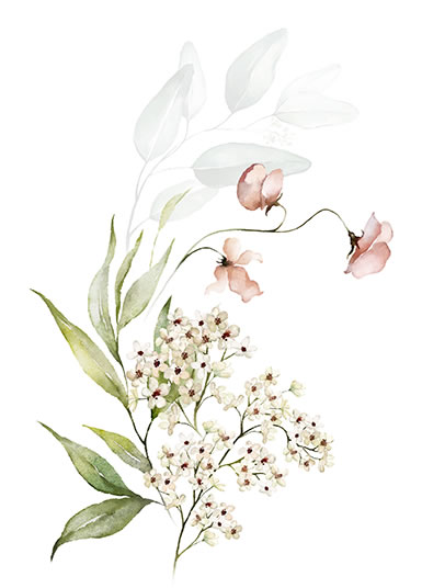 Spring Flowers