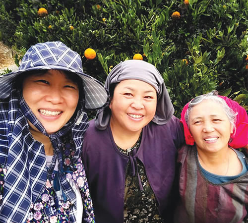 three women tending their garden
