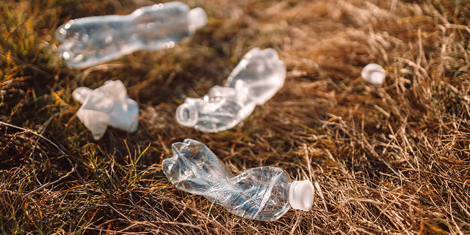 Plastic Garbage in the forest