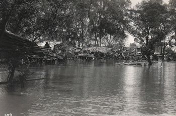 Homes in the trees after the flood