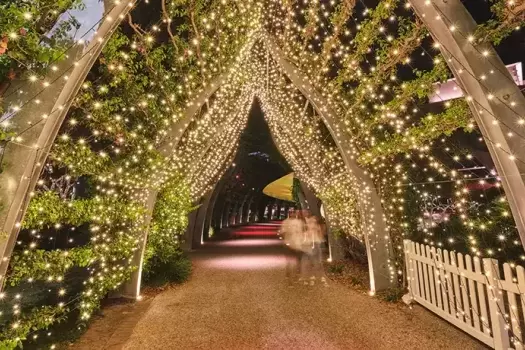 Christmas lights on arbor at Southbank in Brisbane, Australia