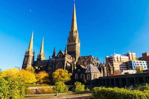 St. Patrick's Cathedral, Melbourne, Australia