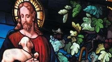 Stained glass window of Jesus holding a young lamb