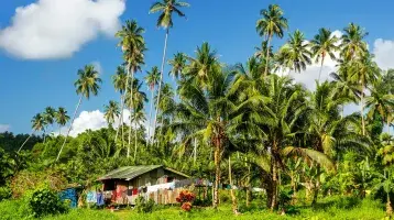 Village house in Fiji