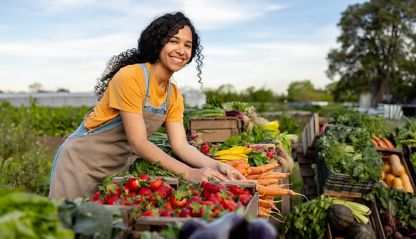 Grateful harvest