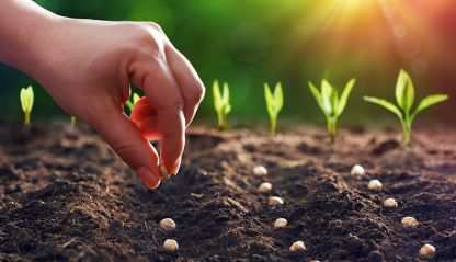 A hand planting seeds in a garden