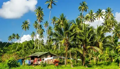 Village house in Fiji