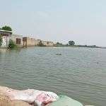 Homes and crops under water by flooding of the River Indus