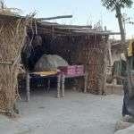 A family sleeps in this makeshift house with thatch walls