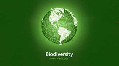 A globe showing the western hemisphere depicting biodiversity