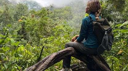 A Woman sits on a log and looks out at a lush green forest