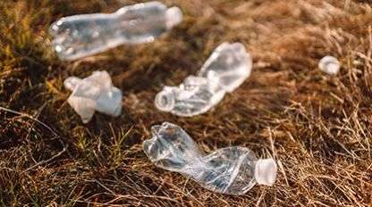 Plastic polution on a forest floor