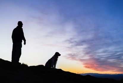Man and his dog on a hillside watching the sun set.