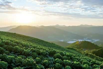 Korean countryside 