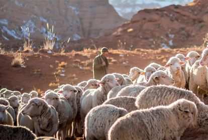 A shepherd and his flock in the mountains