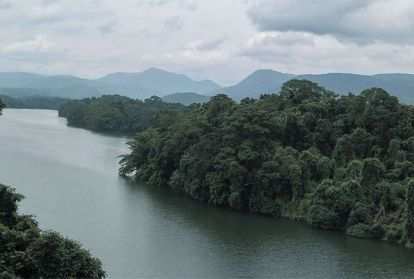 A river cuts through a forest surrounded by mountains.