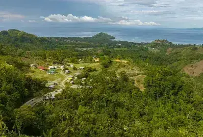 Scenic landscape of rainforest in Mindanao, Philippines