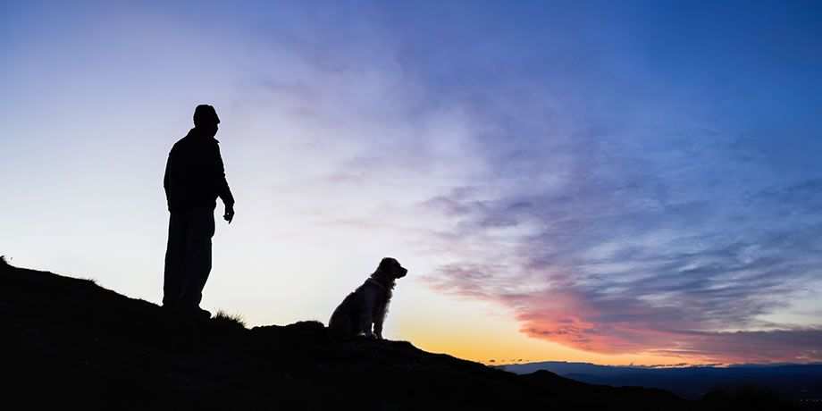 Man and his dog on a hillside watching the sun set.