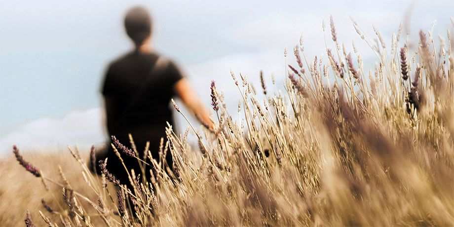 Farm worker in the field