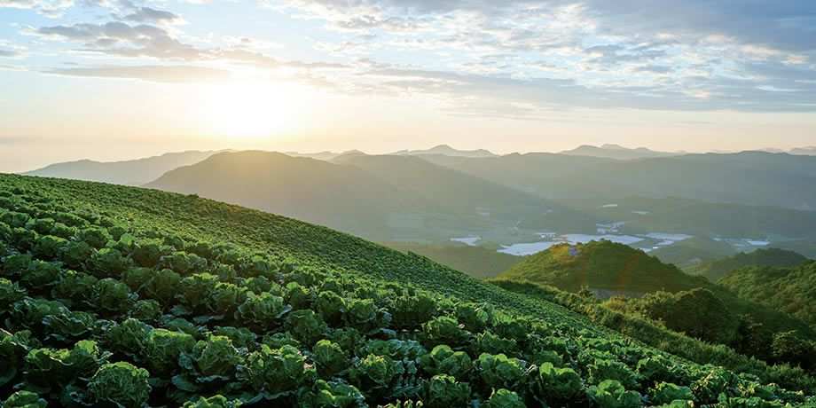 Korean countryside 