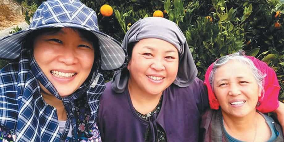 Bae (left) with village women harvesting oranges