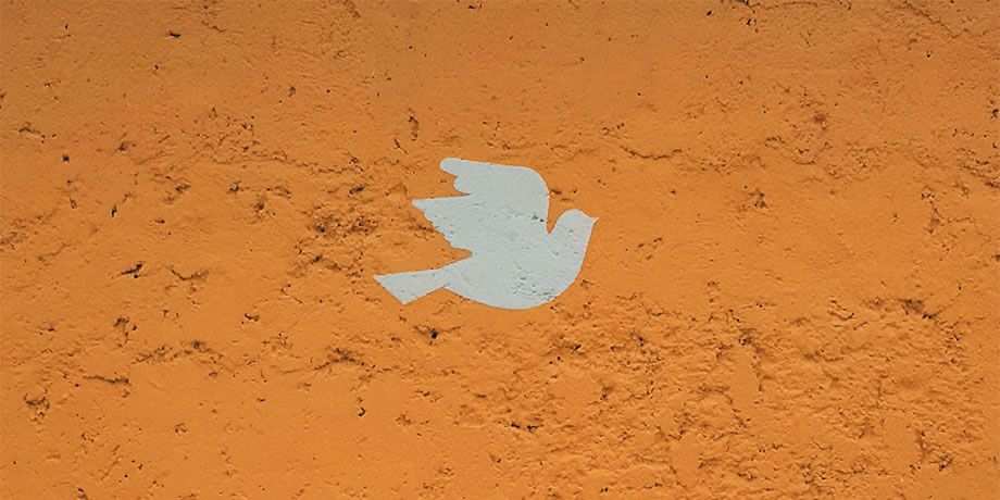 Bird icon on earthy background