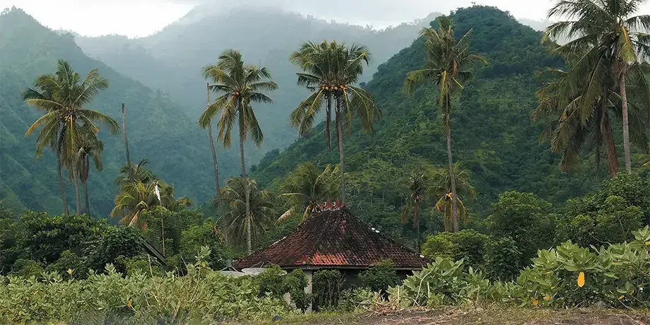 A building in the Fijian wilderness surrounded by palm trees.