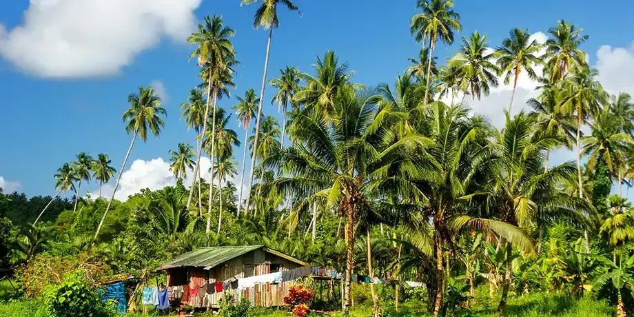 Village house in Fiji