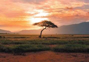 Golden sunset on the plains of Kenya