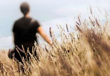 Farm worker in the field