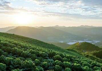 Korean countryside 
